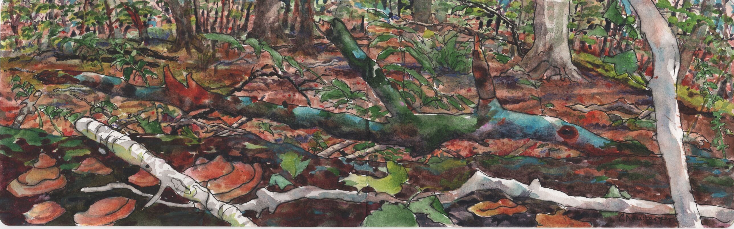 September Forest, watercolor